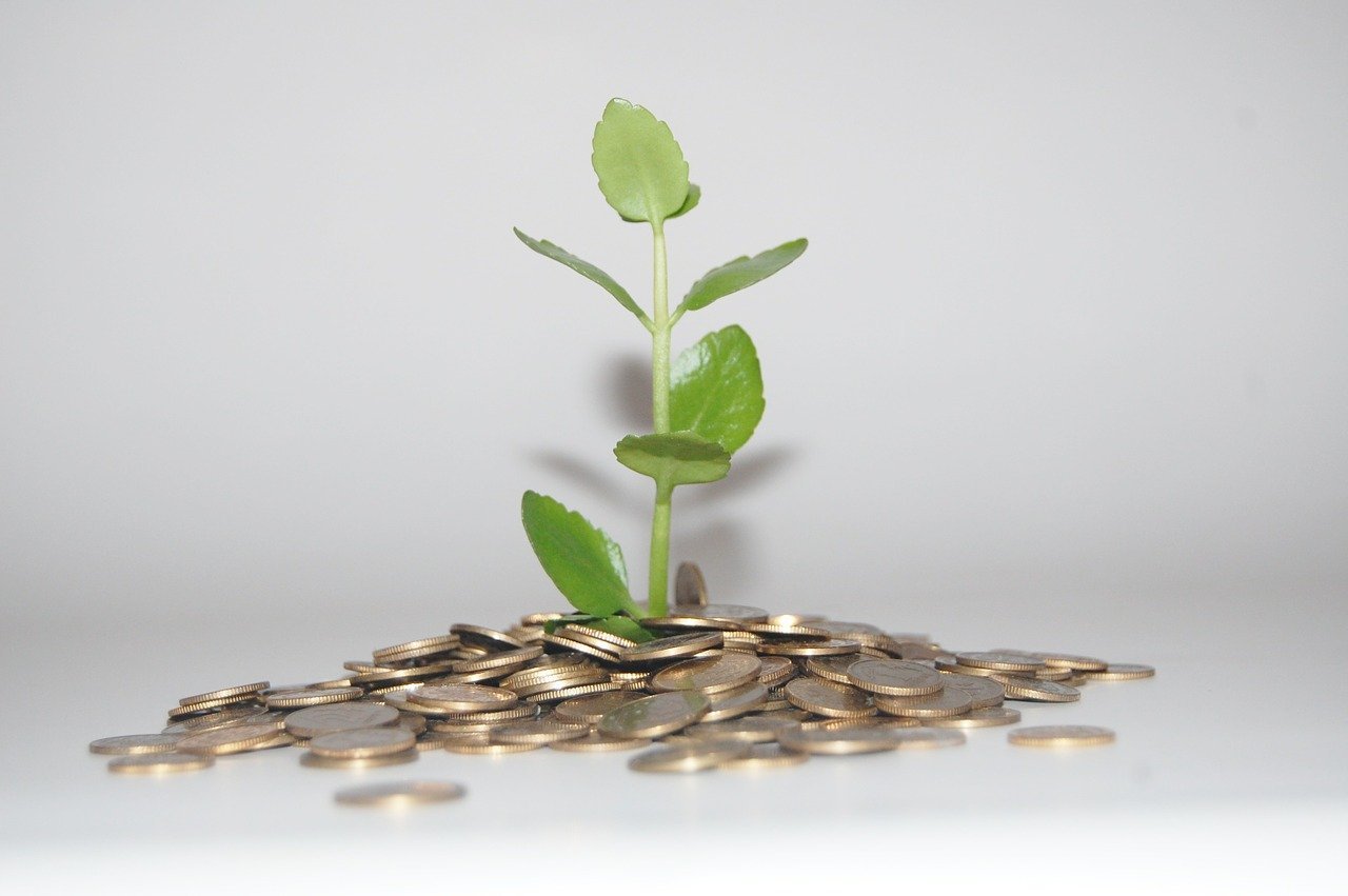 The Nature of Income